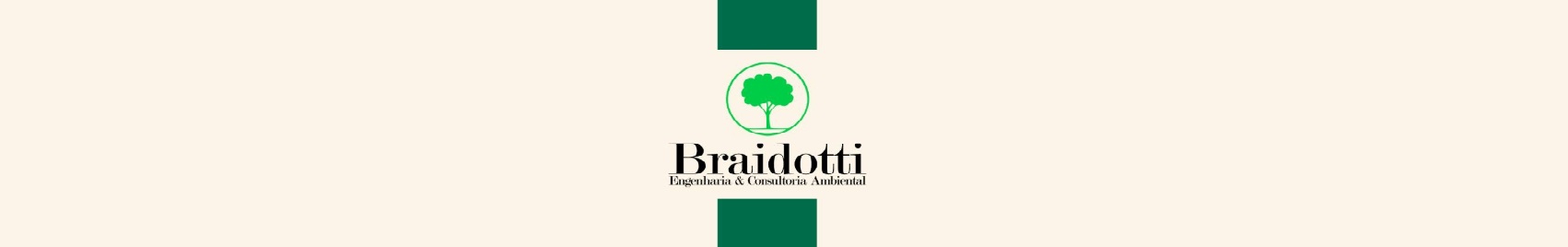 BRAIDOTTI ENGENHARIA.jpg