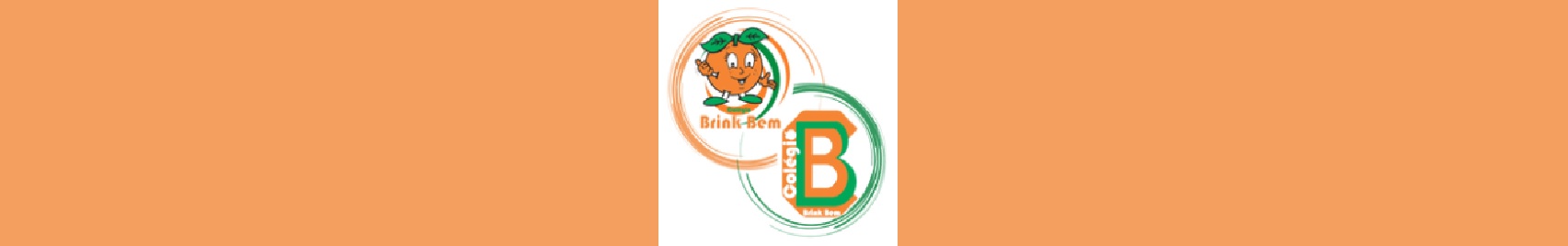 COLÉGIO BRINK BEM.jpg