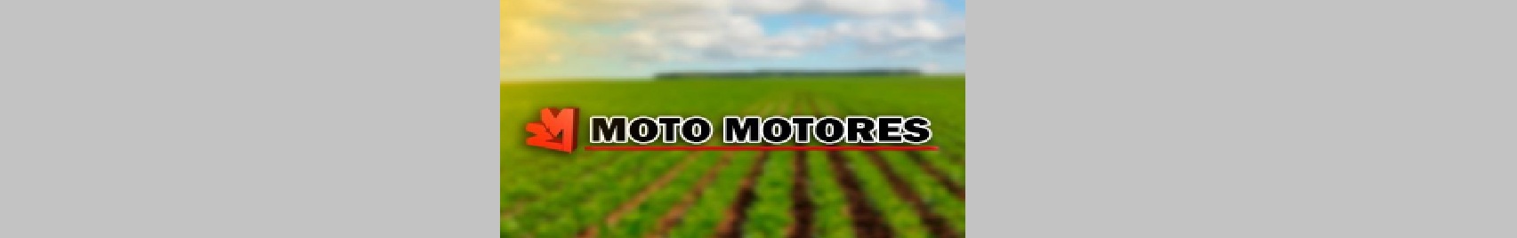 MOTO MOTORES.jpg