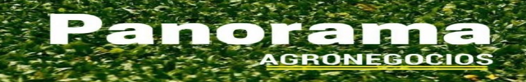 PANORAMA AGRONEGÓCIOS.jpg