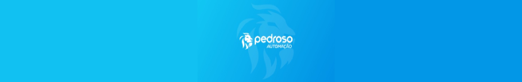 pedroso informática.jpg