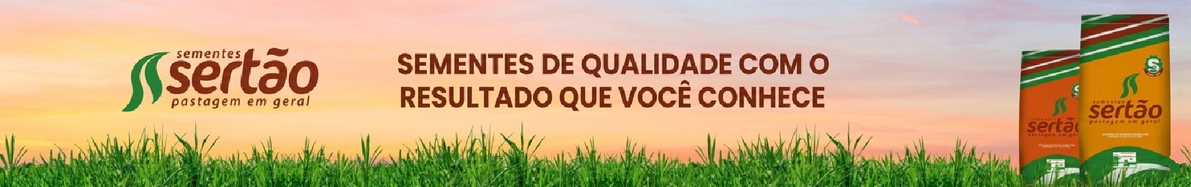 sertão.jpg